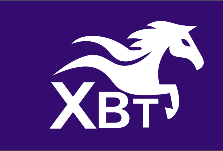 福建新奔騰商務咨詢有限公司重慶分公司